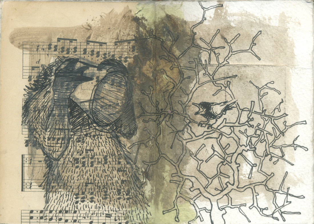 Staffan Gnosspelius sketchbook drawing (bear and bird)